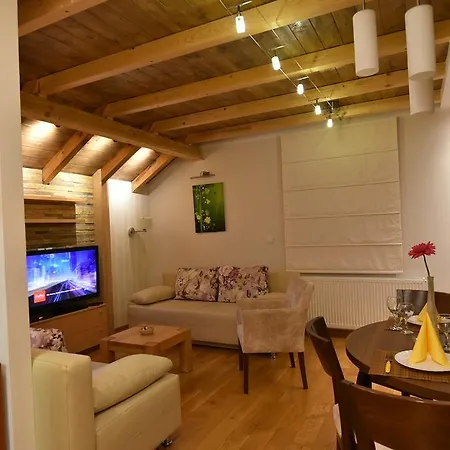Villa Natural Wood Zlatibor Room photo