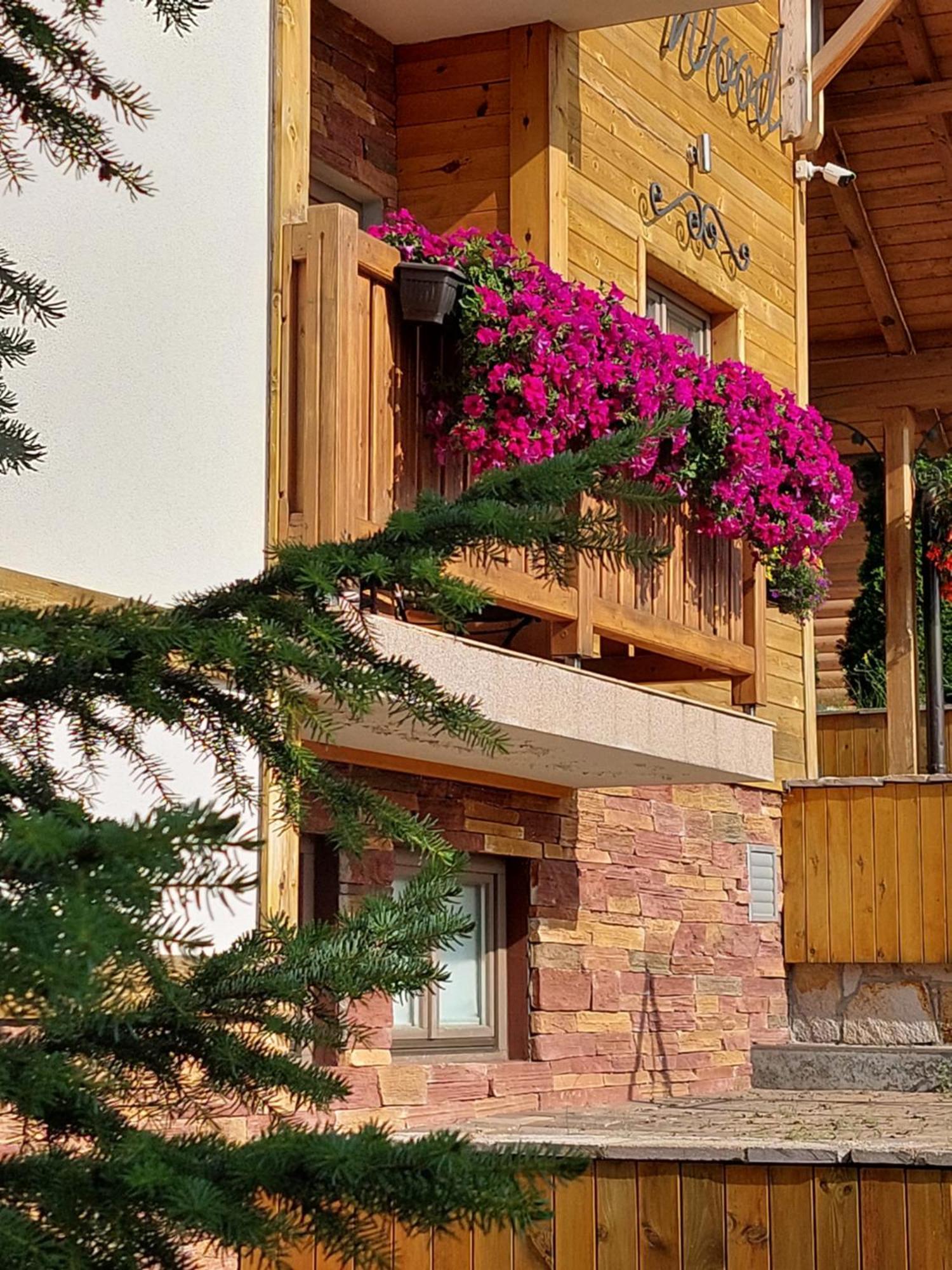 Natural Wood Apartment Zlatibor